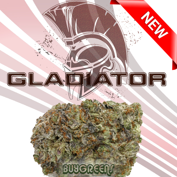 Gladiator - BuyGreens.Online