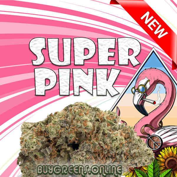Super Pink - BuyGreens.Online