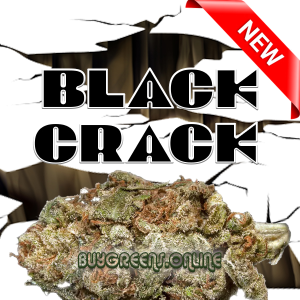Black Crack - BuyGreens.Online