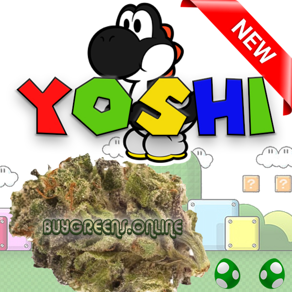 Yoshi - BuyGreens.Online
