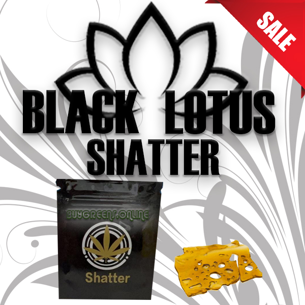 Black Lotus Shatter - BuyGreens.Online