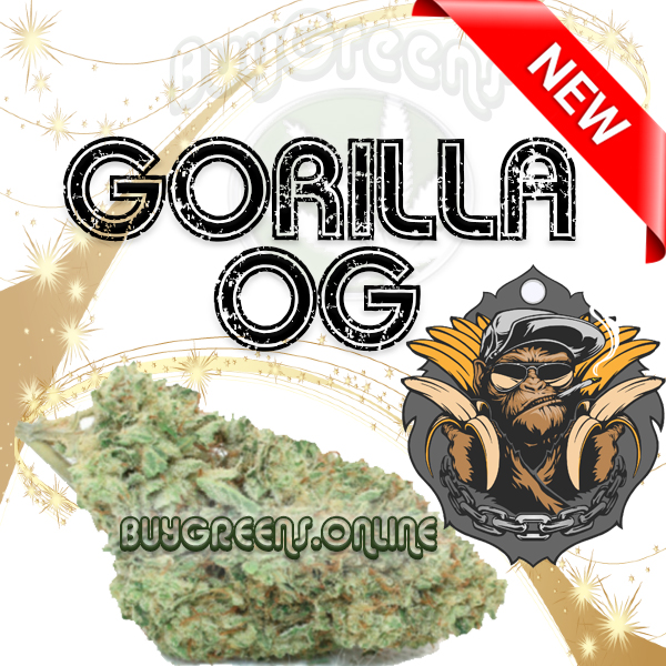Gorilla OG - BuyGreens.Online