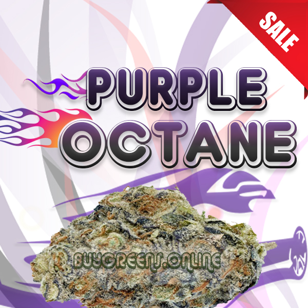 Purple Octane - BuyGreens.Online