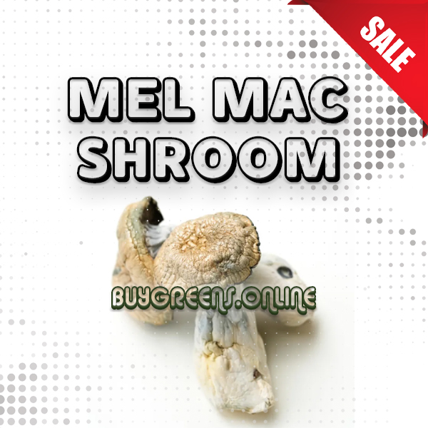 Mel Mac Magic Mushroom - BuyGreens.Online