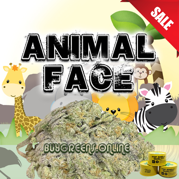 Animal Face - BuyGreens.Online