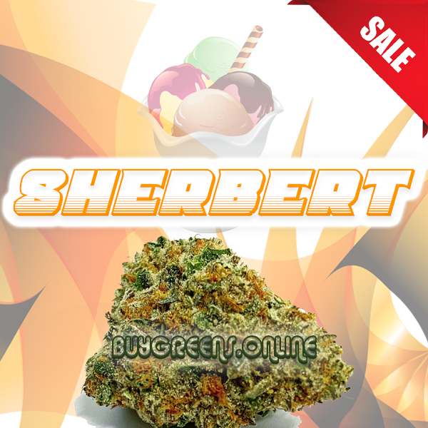 Sherbert - BuyGreens.Online