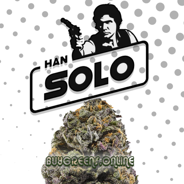 Han Solo Burger - BuyGreens.Online