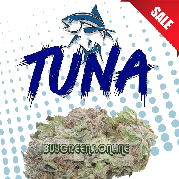 Tuna Kush - BuyGreens.Online