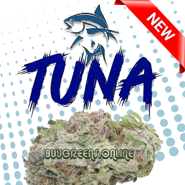Tuna Kush - BuyGreens.Online