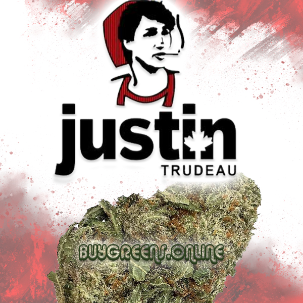 Justin Trudeau - BuyGreens.Online