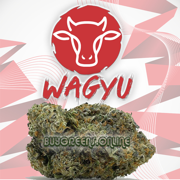 Wagyu - BuyGreens.Online