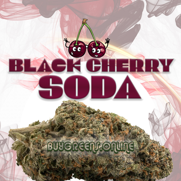 Black Cherry Soda - BuyGreens.Online