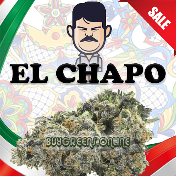 El Chapo - BuyGreen.Online