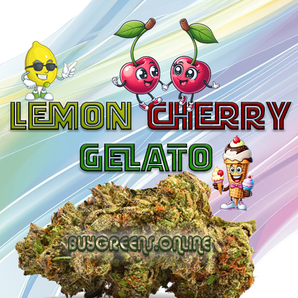 Lemon Cherry Gelato - BuyGreens.Online