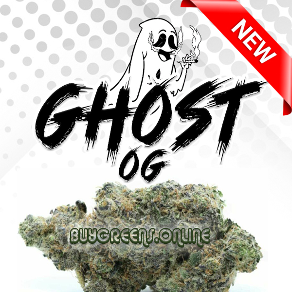 Ghost OG - BuyGreens.Online