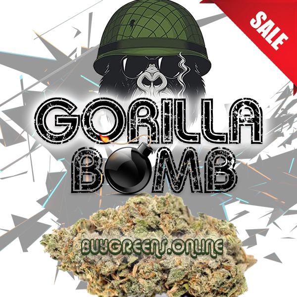 Gorilla Bomb - BuyGreens.Online
