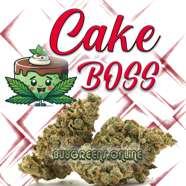 Cake Boss - Buygreen.online