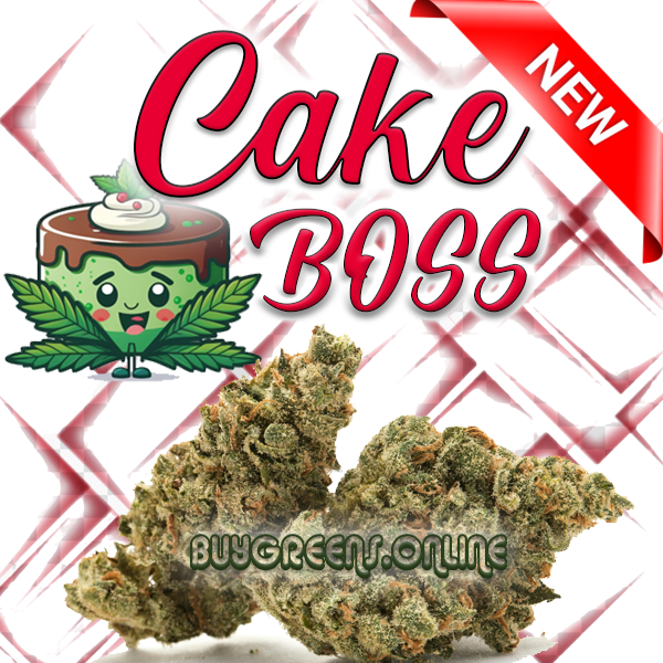 Cake Boss - Buygreens.online