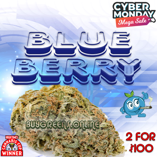 Blueberry - BuyGreens.Online