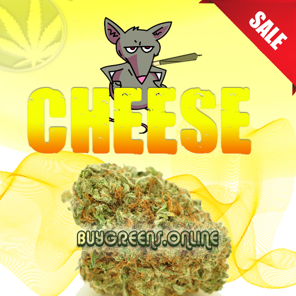 Cheese - BuyGreens.Online