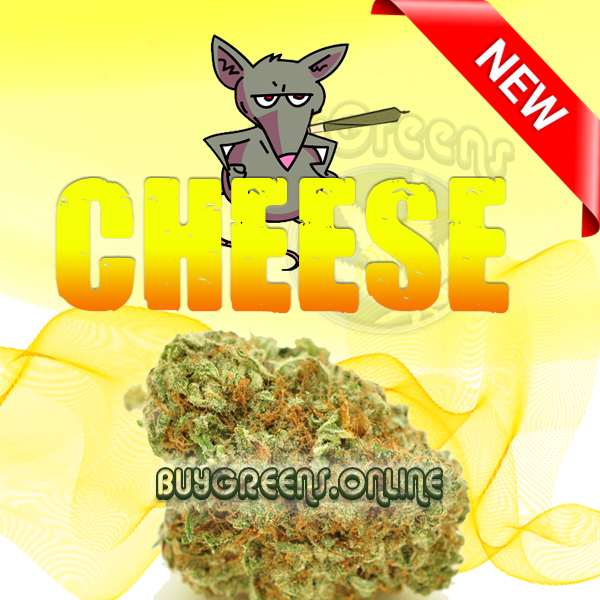 Cheese - BuyGreens.Online