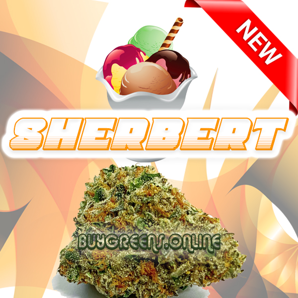 Sherbert - BuyGreens.Online