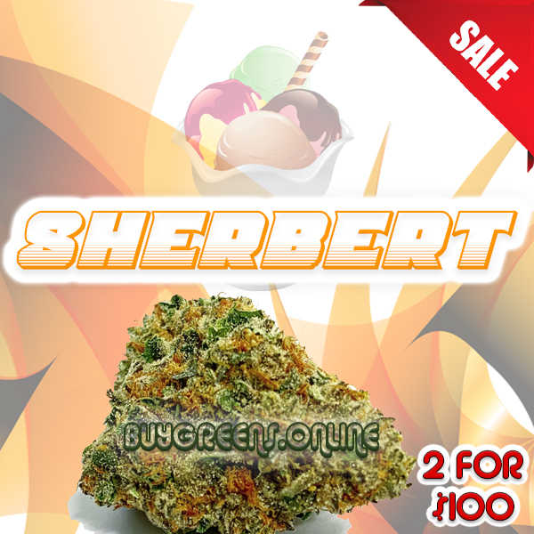 Sherbert - BuyGreens