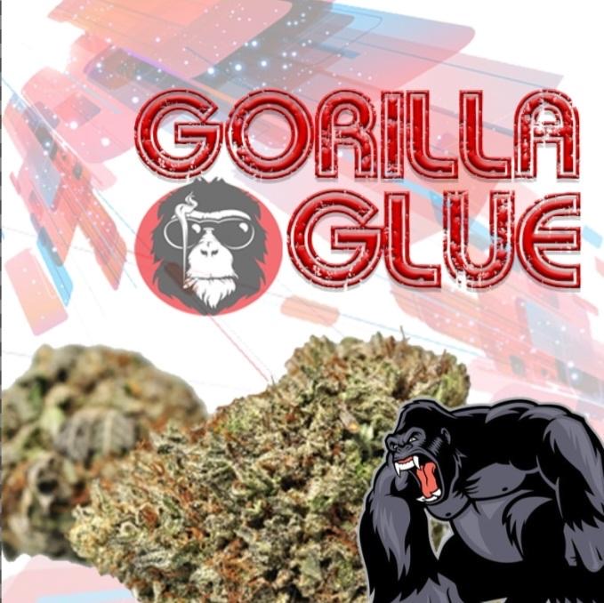 Gorilla Glue AAA (1oz) Mix & Match 2 for $100