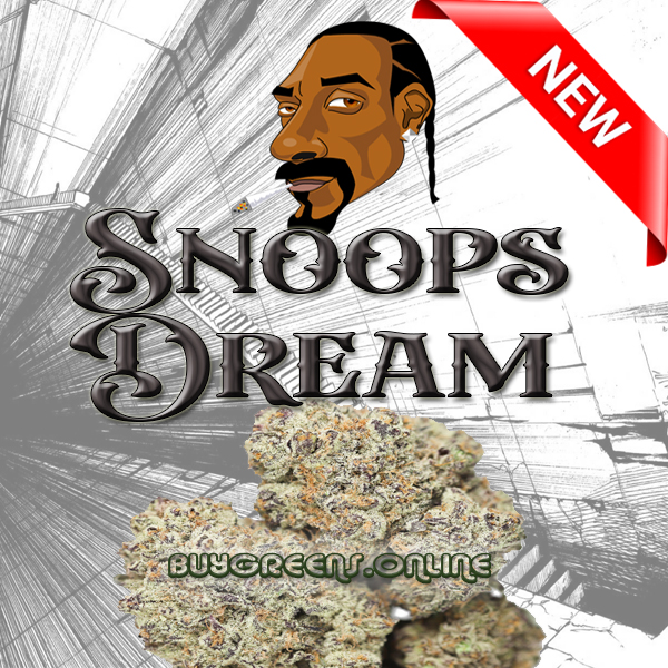 Snoop's Dream - BuyGreens.Online