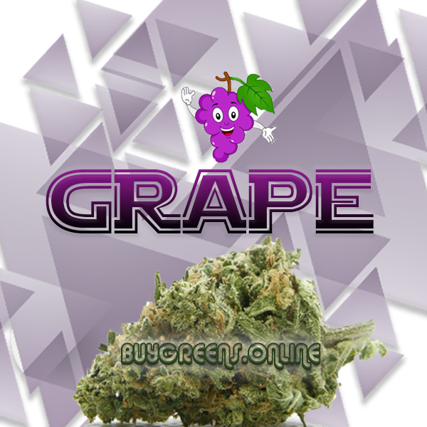 Grape - BuyGreens.Online