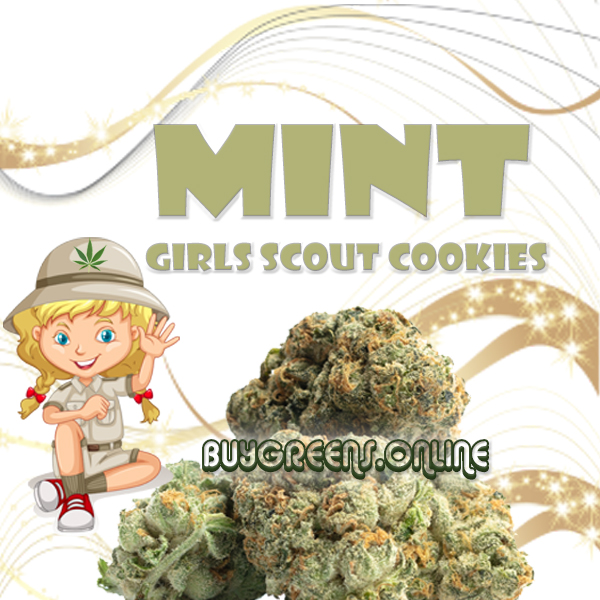 Mint GSC - BuyGreens
