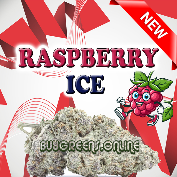 Raspberry Ice - BuyGreens