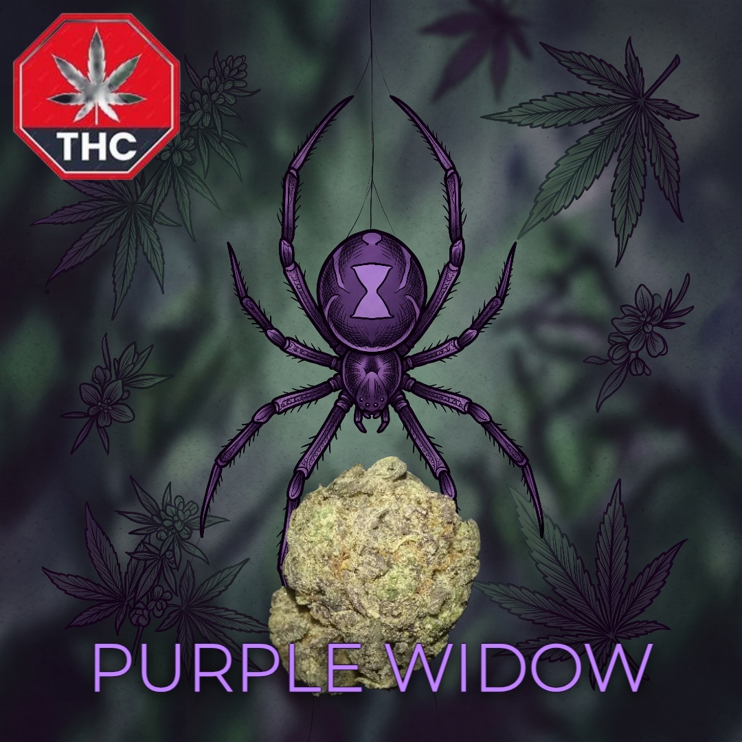 PURPLE WIDOW AAA- (1oz) Mix & Match 2 for $90